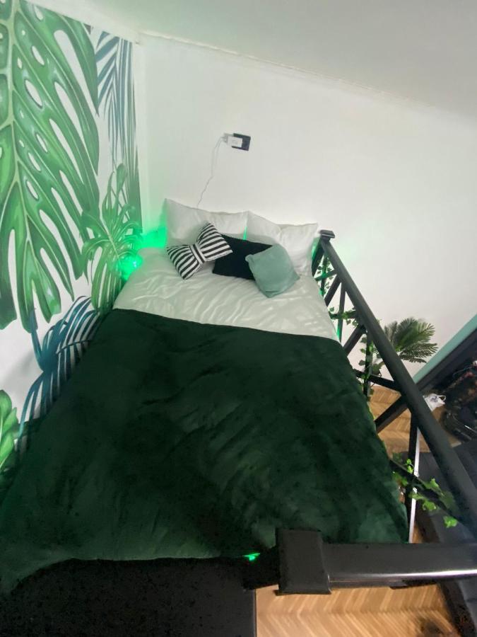 Green Vibes Central 布拉索夫 外观 照片